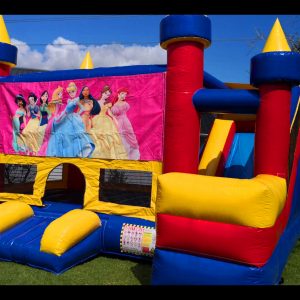 princess bouncy castle