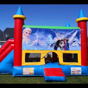 frozen bouncy castle in auckland